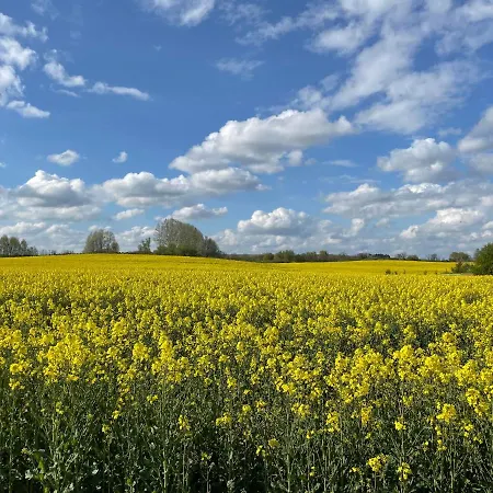 Ferienhaus Gerswalde 度假居