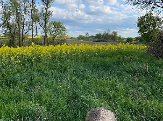 Ferienhaus Gerswalde Tatil Evi Gerswalde