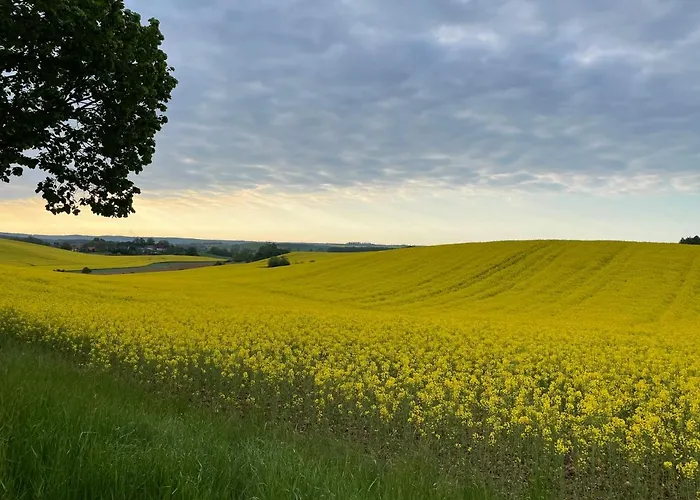 Ferienhaus Gerswalde Tatil Evi *